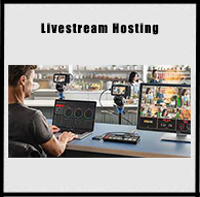 Video Live Streaming Hosting Services