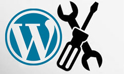 Icon: WordPress Repair